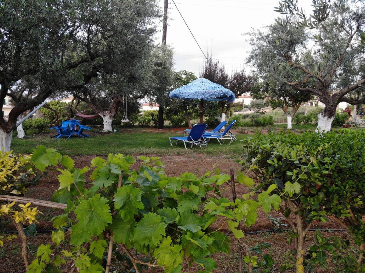 Kypseli Zante Summer Retreats - Marietta'S Apartment2 Drosia מראה חיצוני תמונה